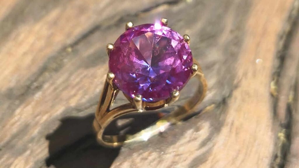 Went on an Inland hunt with the Anfibio