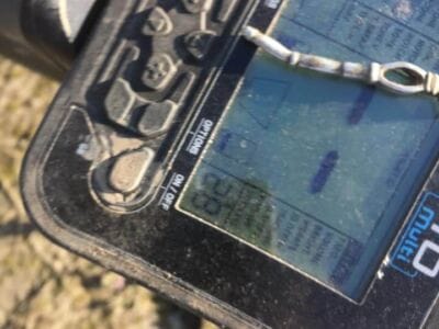 That Was A Nice Hunt Yesterday - 12