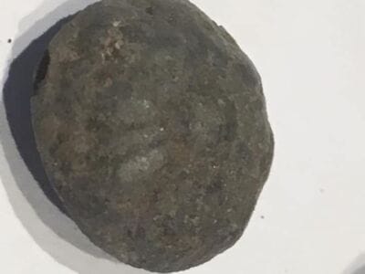 That Was A Nice Hunt Yesterday - 3