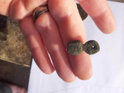 Had this little fellow today 1