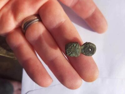 Had this little fellow today 2