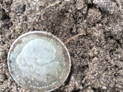 Half our on a playground