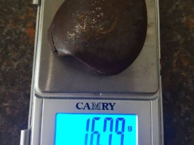 Took The Anfibio Out For An Inhunt - 3