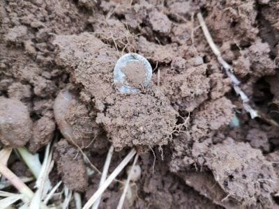 Anfibio Today Carl Bowden