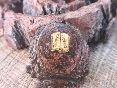 Went on an Inland hunt as beaches