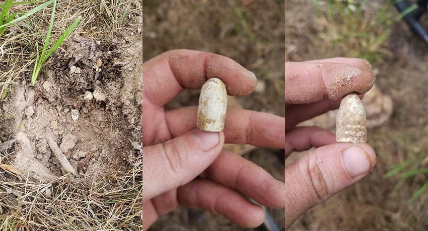 Anfibio Is Killin The Lead