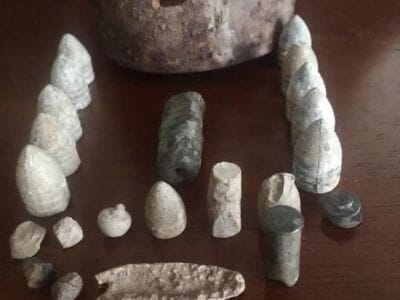 Anfibio Multi is a great relic machine