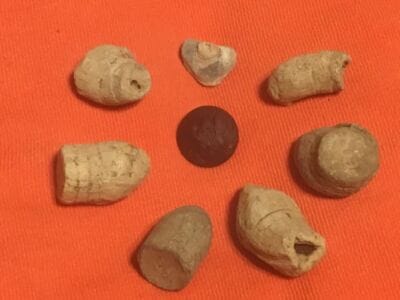 Anfibio Multi is a great relic machine