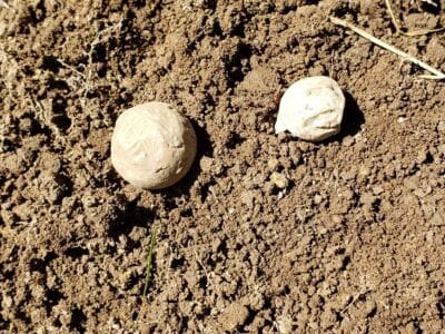 LOVING THE MMK WITH AF28 COIL