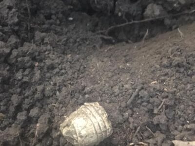 The Anfibio Multi does it again