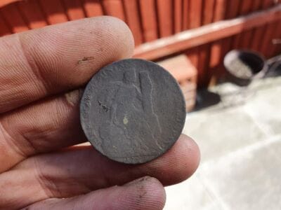 This weeks finds so far on the anfibio multi