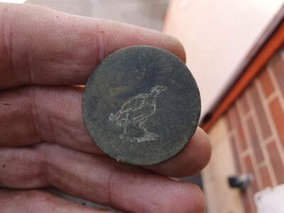 This weeks finds so far on the anfibio multi