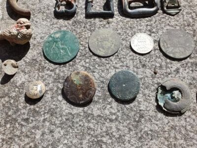 This weeks finds so far on the anfibio multi