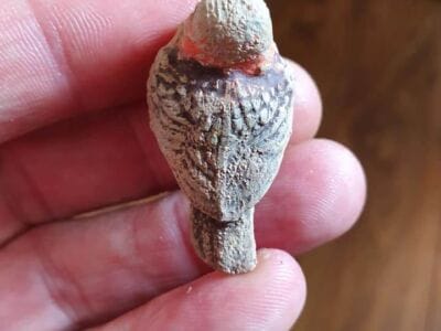 This weeks finds so far on the anfibio multi