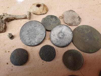 This weeks finds so far on the anfibio multi