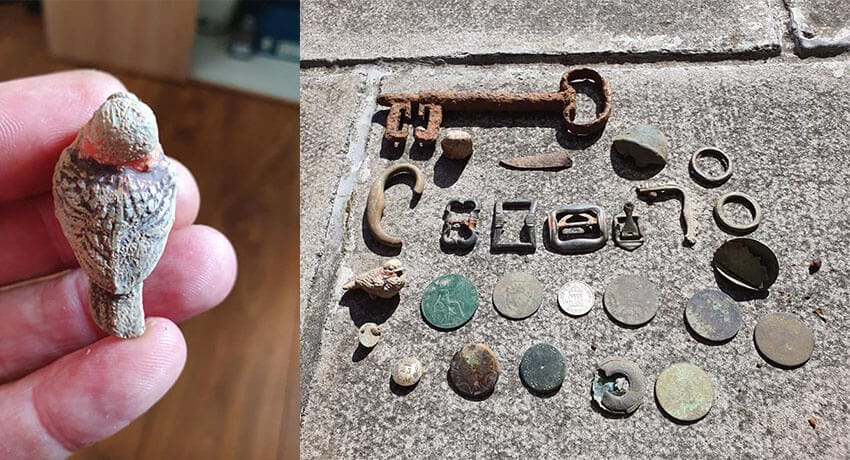 This Weeks Finds so Far on The Anfibio