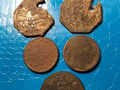 Today’s digs with Anfibio