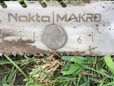 Today’s digs with Anfibio