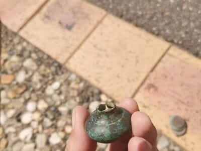 Anfibio toujours au top