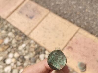 Anfibio toujours au top