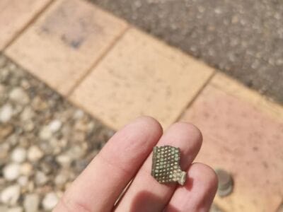 Anfibio toujours au top