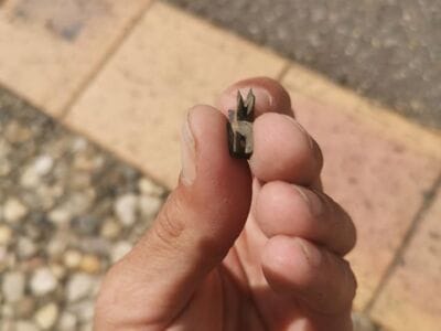 Anfibio toujours au top