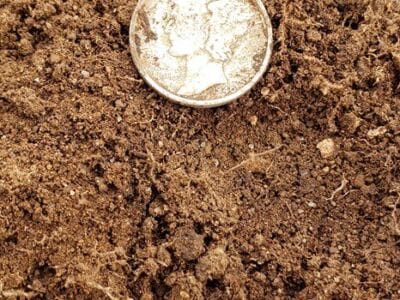 Found a first ever Mercury Dime 1940