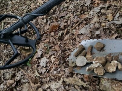 Good moment with my Anfibio