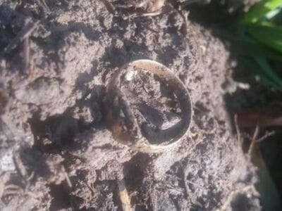 I can have a rest now