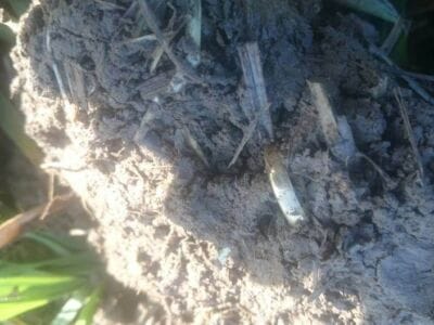 I can have a rest now