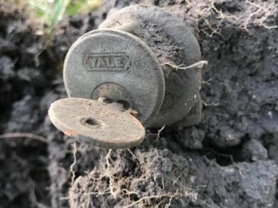 Quick hunt with Simplex