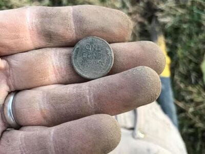 Quick hunt with Simplex