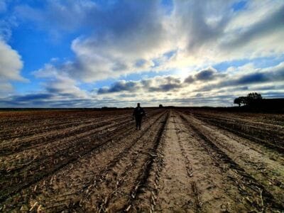 Vandaag weer gezocht met mijn Simplex