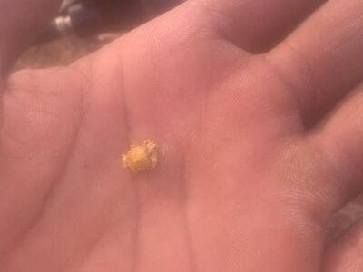 Happy every day with Gold Kruzer