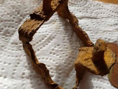 Old Childs Shoe Pattern