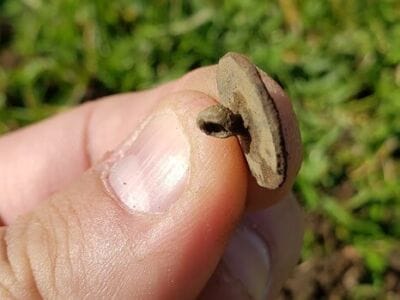 Lipstick from about 1920's