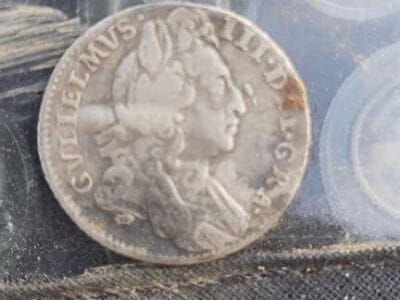 Simplex Great Detector