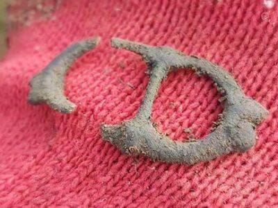 Simplex Great Detector