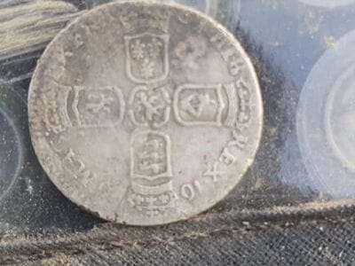 Simplex Great Detector