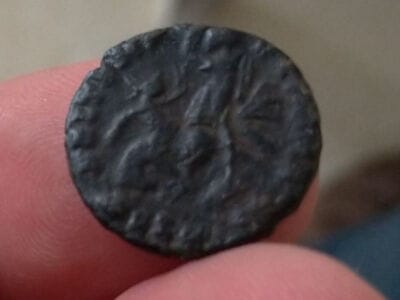 One hour of Anfibio... 2 Romans...