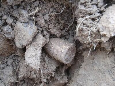 The Simplex is great