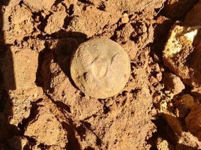 The Simplex is great