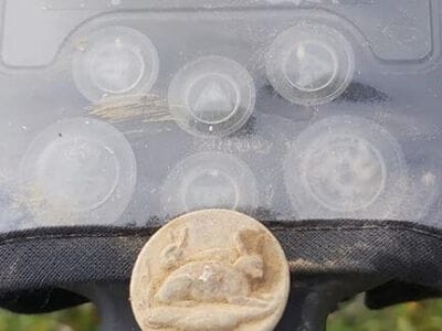 A few finds from today