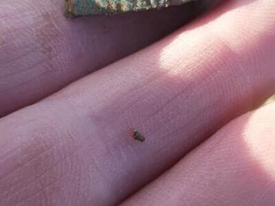 A few finds from today