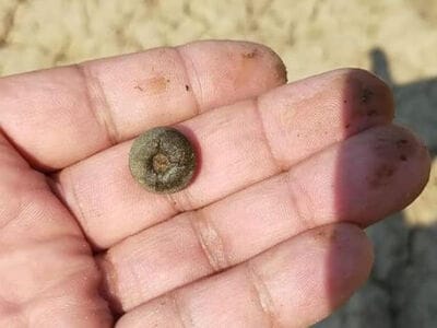 One hour for Simplex