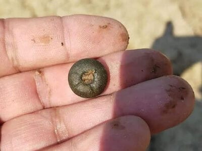 One hour for Simplex