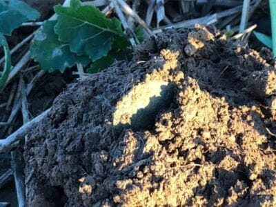 First time out with the Simplex