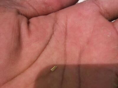 Gold Kruzer is the best