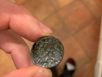 Good 2.5 hours hunting