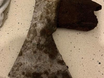 Good 2.5 hours hunting